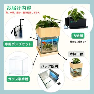 せせらぎビオトープ　20cm型基本照明＋木枠台セット