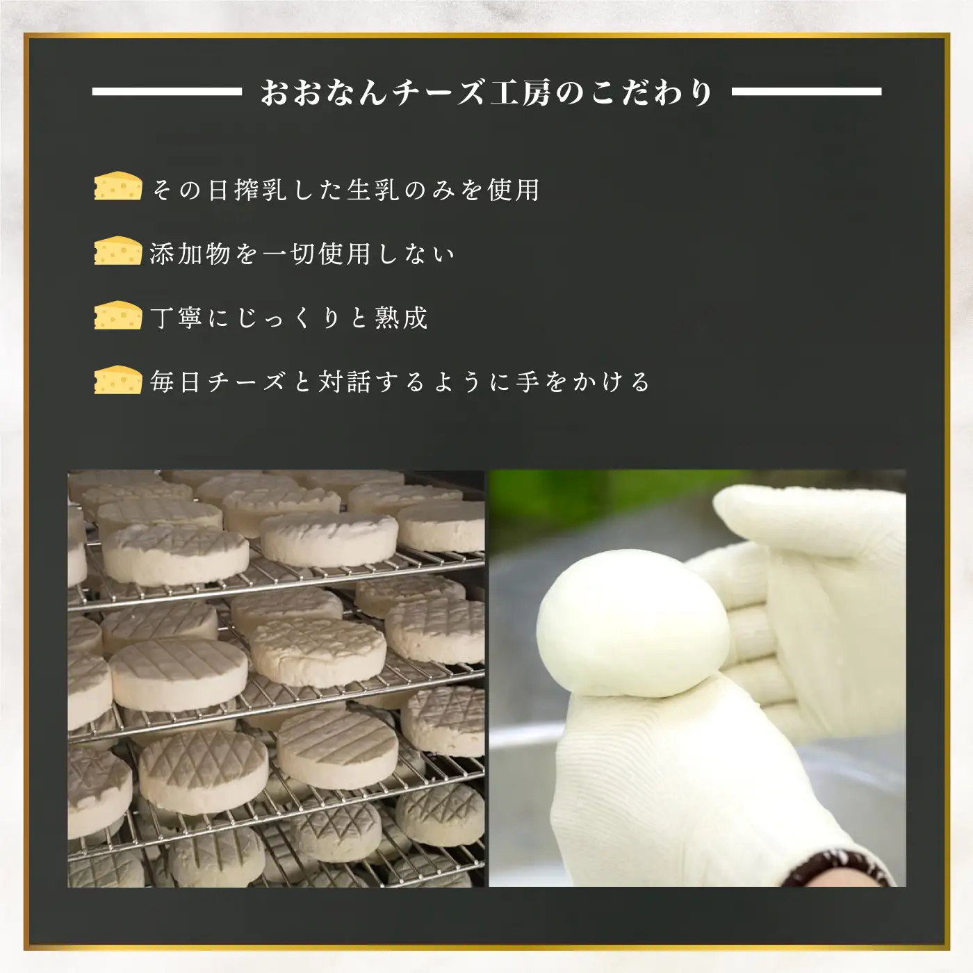 ナチュラルチーズ4種（ストリング・のどぐろだし醬油漬けモッツァレラ・カマンベールハーフ・干し柿入りリコッタ）