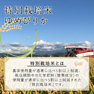 【先行予約】【定期便】特別栽培米ゆめぴりか精米6kg(3kg×2袋) 令和7年産 3ヶ月毎月発送(11月から発送開始予定) |  ゆめぴりか_05277