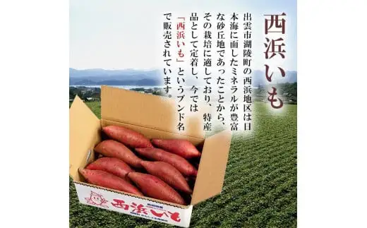 西浜いも（べにはるか）5kg