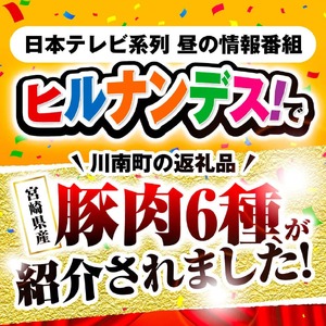 豚肉 ヒルナンデスで紹介！【令和8年7月発送】宮崎県産 豚肉 6種1.9kg 小分け セット