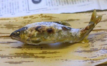 20-14 (有)あゆの里 矢沢のヤナ お食事券6,000円分（ヤナ漁体験無料券付き）