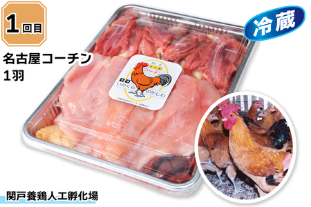 名古屋コーチン 満喫定期便 (純系名古屋コーチン1羽、ひきずりセット、鶏ちゃん焼みそ味、いわくら入浴剤) [0780]