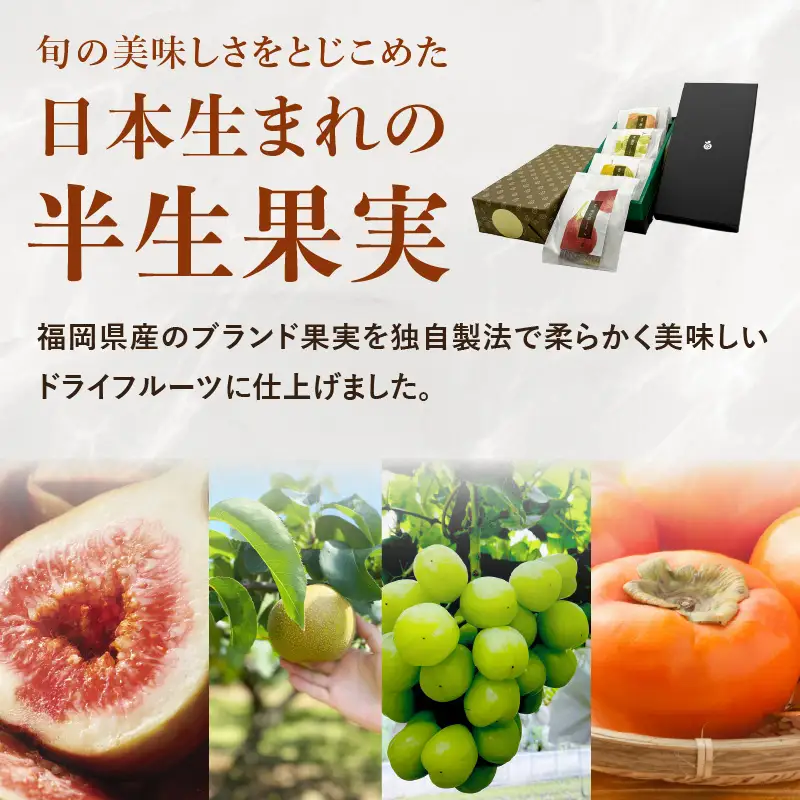 ドライフルーツ 潤果（四季果セット） ドライフルーツ ブランド果実 柿 秋王 いちじく とよみつ姫 梨 幸水梨 シャインマスカット 着色料不使用 保存料不使用 甘味 おやつ お茶菓子 おつまみ セット 贈答品 プレゼント ギフト 福岡県 八女市 206-004