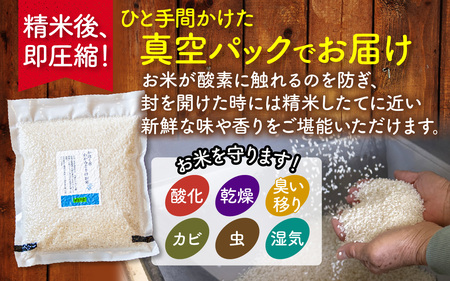 【令和7年産】こしひかり 2kg（1kg × 2袋） |  コシヒカリ お米