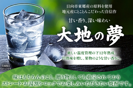 焼酎 へべす果汁と大地の夢 各1本 晩酌セット [日向市観光協会 宮崎県 日向市 452061427]