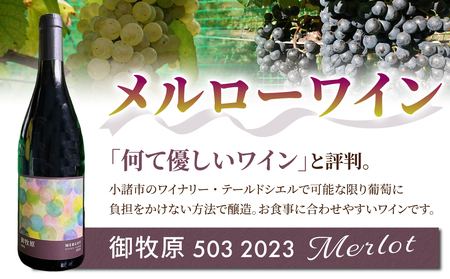 【おいしい農園】メルローワイン「御牧原503」ロゼワイン「御牧原504」セット（各1本）ワインワインワインワインワインワインワイン
