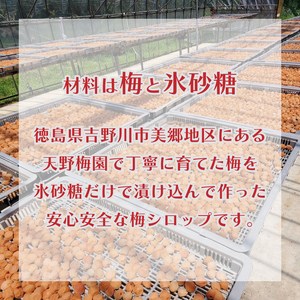 梅シロップ 275cc 2本 セット 梅 シロップ