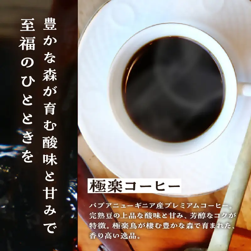 ツインスターシード極楽コーヒー粉（３袋）_B135-008
