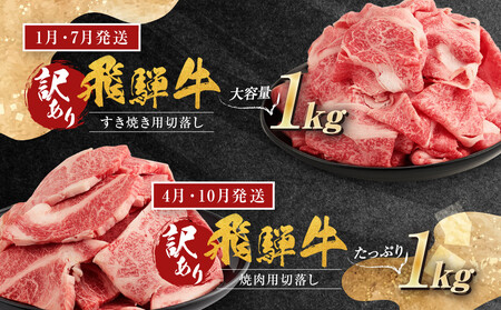 【訳あり】飛騨牛づくし定期便【1月・4月・7月・10月発送】 | 黒毛和牛 和牛 肉 牛肉 切落し 小分け 肉の匠家 BV105