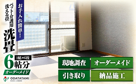 現代の名工カンパニー特製！ ペット・介護洗える畳 『 洗畳 』 縁無琉球畳 新調 6帖サイズ （ 畳 半帖サイズ 12枚 ） K348-014