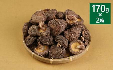 熊本県人吉・球磨産 乾椎茸 どんこ 箱詰 170g×2箱セット 計340g 