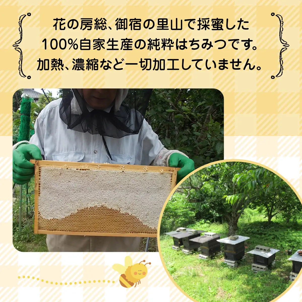 B506 御宿産純粋はちみつ Ｃ　ONJH001