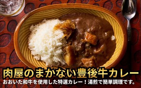 肉屋のまかない豊後牛レトルトカレー 230g×10袋 | 豊後高田市 レトルトカレー
