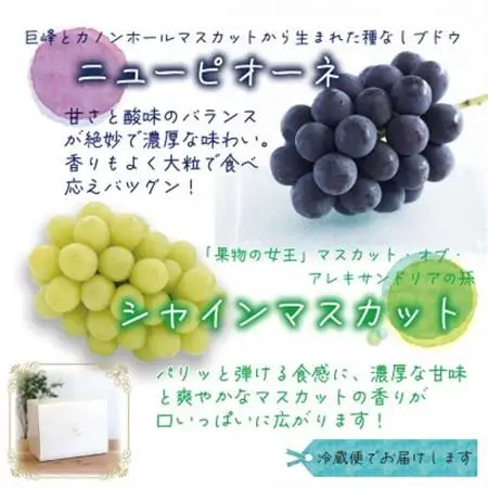 岡山　花笑み農園の『ニューピオーネ＆シャインマスカット』1kg(2房)PS-1【配送不可地域：離島】【1650714】