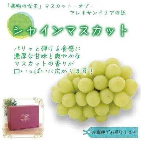 岡山　花笑み農園の『シャインマスカット』贈答用　約2kg (3～4房) S-2上【配送不可地域：離島】【1650757】