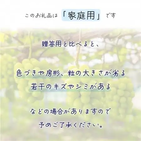 岡山　花笑み農園の『シャインマスカット』家庭用　約2kg (3～5房) S-2家【配送不可地域：離島】【1650758】
