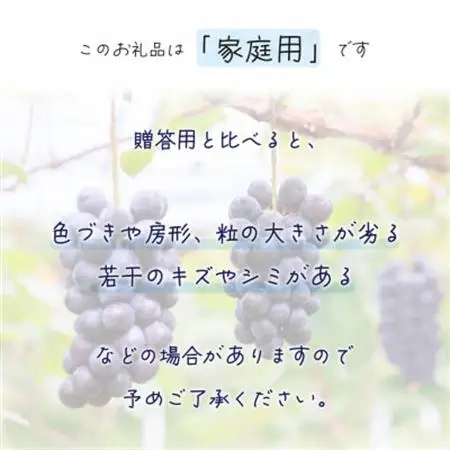 岡山　花笑み農園の『BKシードレス』家庭用　約2kg (3～6房)　B-2家【配送不可地域：離島】【1650768】