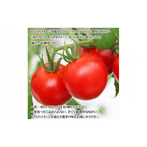 出雲の國からの贈り物～トマトを超えた超トマト２kg