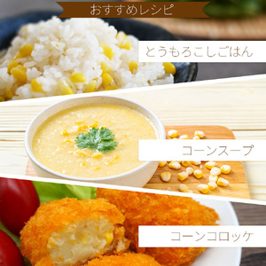 片品村産とうもろこし (品種：ドルチェドリーム) 1箱 約5kg とうもろこし ドルチェドリーム スイートコーン 片品村 トウモロコシ