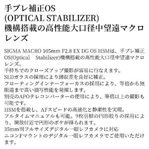 SIGMA MACRO 105mm F2.8 EX DG OS HSM【ニコンFマウント】（数量限定）