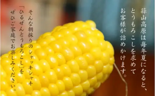 蒜山高原 とうもろこし イエロー10本 【配送不可地域：北海道／沖縄県／離島】【jujy001-02】