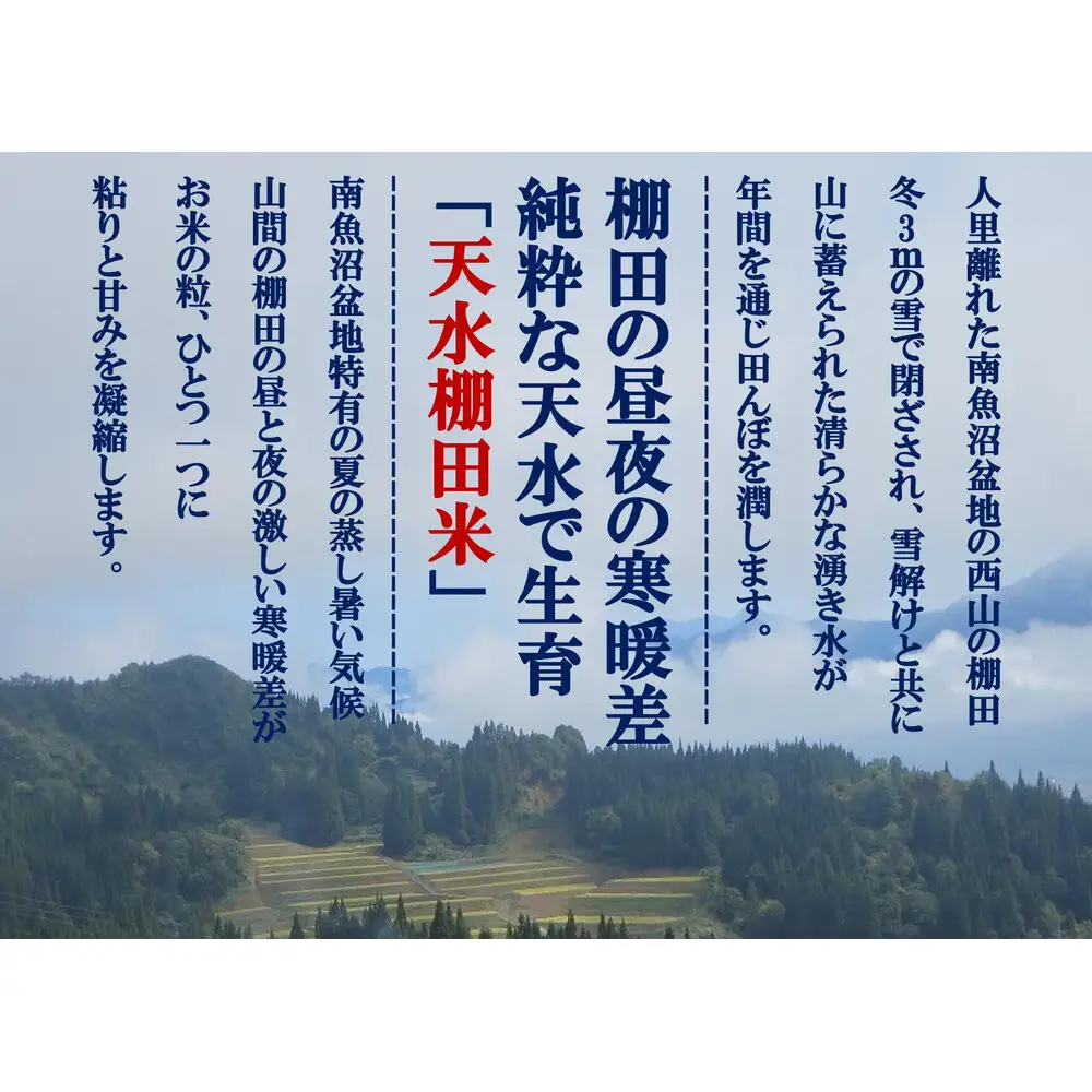 「とやの里山継承プロジェクト対象」【天水棚田米】南魚沼塩沢産コシヒカリ　精米5kg全1回【銘柄米 ブランド米 精米 こしひかり コシヒカリ 魚沼産 新潟米 産地直送 お米 米 こめ コメ ご飯 御飯 ごはん】
