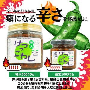 激辛国産青唐辛子味噌 「けつっこわし」【100ｇ×4本】辛くておいしい無添加合わせ味噌【tab0223-204】