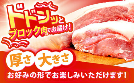 真空冷蔵 豚ロースブロック 約5kg（リブロースとロイン 2種セット）[OCJ001]