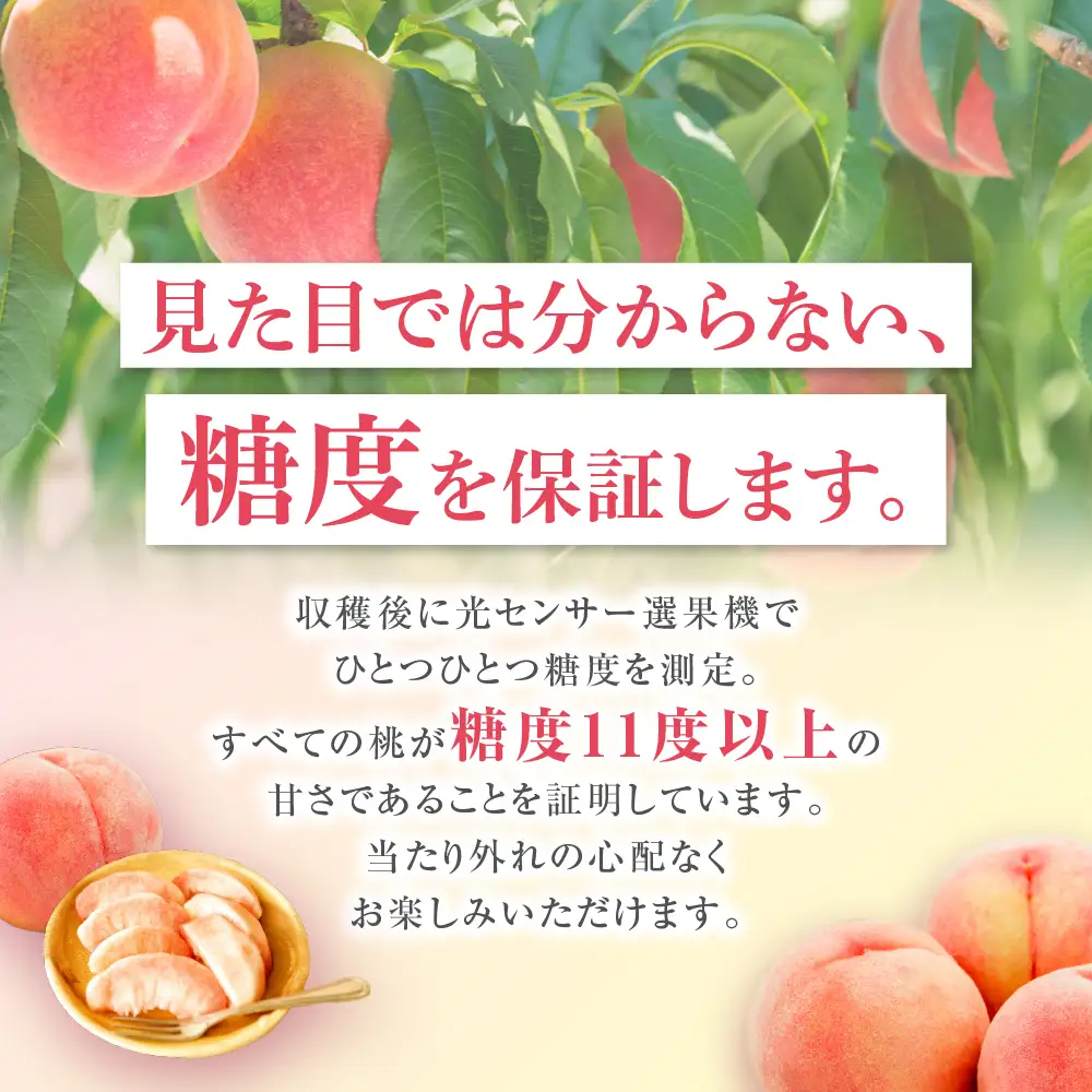 【2025年発送分残り僅か】桃 約5kg (15～18玉) 「ぴちパ　ピーチ」 桃 桃 桃 桃 桃