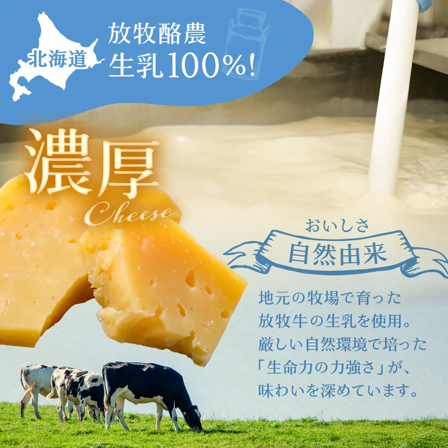 【全3回定期便】北海道チーズ 7種 　《足寄町》【合同会社あしょろチーズ工房】[BEAU011]