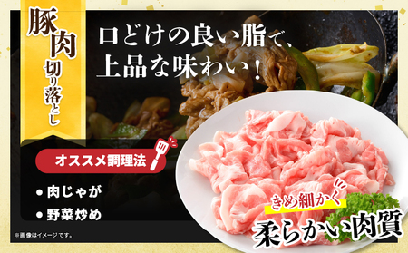 宮崎県産 豚肉切り落とし＆若鶏もも切身セット 合計3kg 肉 豚 鶏肉 小分け 真空パック 国産 食品 万能食材 豚丼 焼肉 から揚げ とり天 炒め物 おかず お弁当 おつまみ 詰め合わせ 食べ比べ おすすめ 冷凍 宮崎県 日南市 送料無料_BD109-25