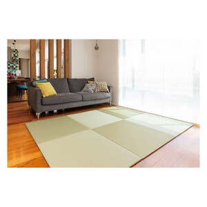 セキスイ畳　「ＭＩＧＵＳＡ」　フロア畳９枚セット