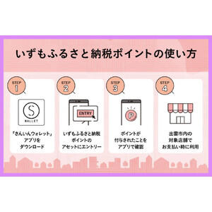 出雲市 デジタル地域通貨「いずも縁結びPAY」 いずもふるさと納税ポイント30,000pt（1pt＝1円）【30,000円分 電子決済 キャッシュレス 飲食 宿泊 体験 電子マネー 島根県 出雲市】