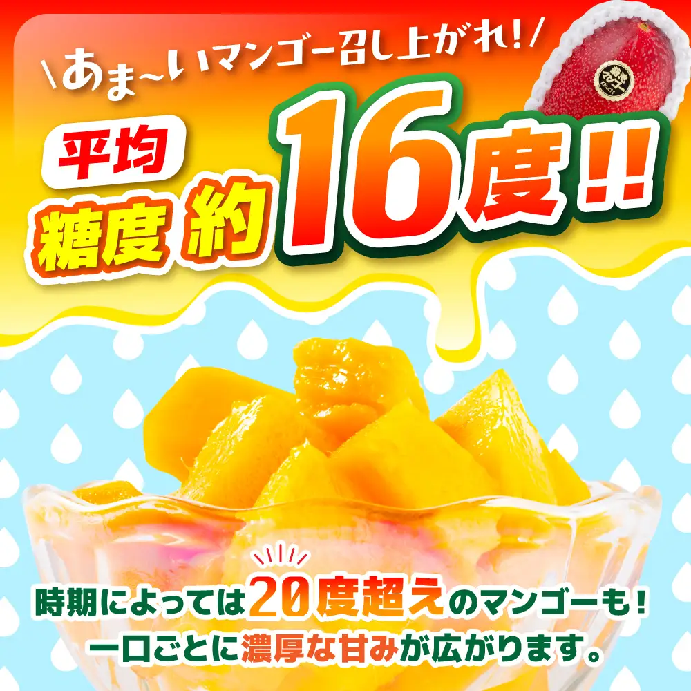 【ふるなびWEEK対象】【2026年6月より発送】秀品 菊池マンゴー 約1kg 友枝マンゴー農園[AYDF003]