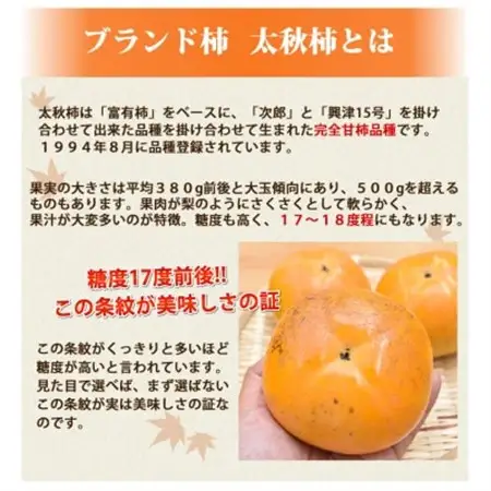 太秋柿 秀品3kg【2026年10月下旬-11月下旬発送予定】(益城町)【1650965】