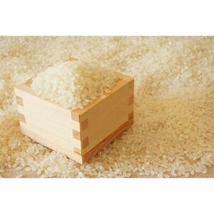 【先行予約】【令和7年産】夢つくし 無洗米 5kg [BGAA085] ゆめつくし 無洗米