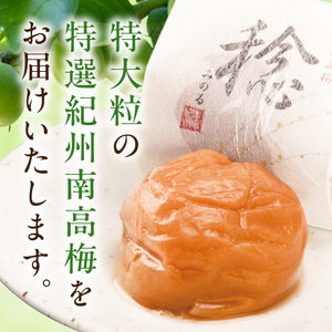 SF1028_紀州南高梅「稔」20粒入