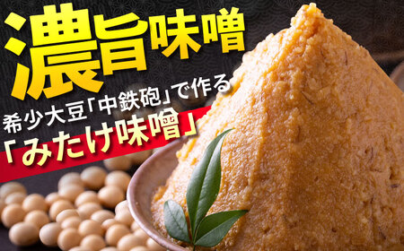 「元祖みたけとんちゃん」 【甘辛セット】 甘辛みそ味×昔ながらのミックスホルモン（4人前）[AVAA052]ホルモン おすすめ