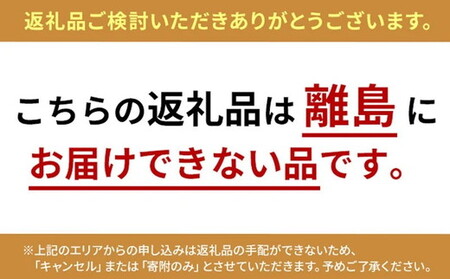 カラフルストーンウキワ(空気栓大付)｜プール 海水浴 レジャー