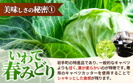 【キャベツの街】野菜たっぷり！しんいちろう餃子（12個入×4箱）【48個】  お肉 おかず やまと豚 肉 焼き 中華 人気 餃子 ギョーザ ぎょうざ ギョウザ 豚肉 おつまみ 惣菜 岩手県 岩手町