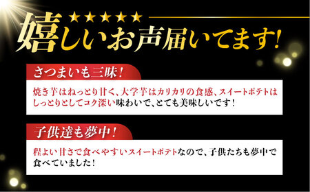 【全12回】さつまいもスイーツ おためし3種詰め合わせ さつまいも[XAD078]