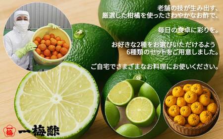 四国の絶品 老舗の手づくり 柑橘ぽん酢 食べ比べ 2種 200ml×2本 Dセット（ゆず・青レモン） 【一梅酢】 