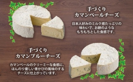 北海道小林牧場物語 手づくりチーズセット | カマンベール ブルーチーズ  モッツァレラ 北海道 札幌市