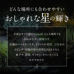 【でんらい】屋外対応の輝くLEDシャンデリア|WPP035［172C07］屋外対応 輝くLED シャンデリア 選べる カラー WPP035 庭園灯 LED ライト ステンレス 錆びにくい ケーブル付き コンセント式 照明 おしゃれ ラグジュアリー 室内 屋外 庭 玄関灯 エクステリア 外灯 でんらい 愛知県 小牧市 送料無料