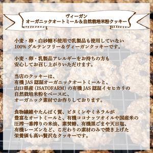 クッキー 11枚 ヴィーガン クッキー KF