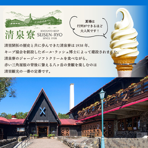 清泉寮ジャージーゴーダチーズ　100g×2個 チーズ ゴーダチーズ 100g×2個 清里 清泉寮牧場 有機ジャージー 有機JAS認証取得 ジャージー牛乳 低温殺菌処理 清里 山梨県 北杜市産 [h041]