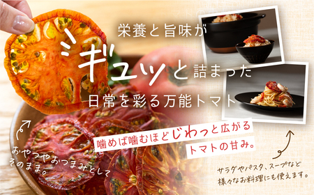 【トマト農家が本気で作った】ウエタトマトdeドライトマト 15g×3袋 愛知県 田原市産