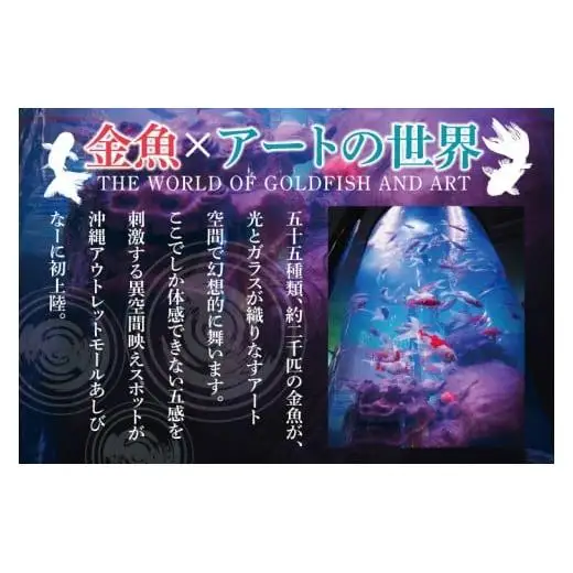 沖縄金魚ミュージアム入場券　大人1名