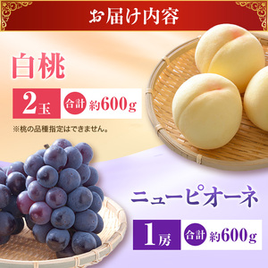 2026年 先行受付 白桃 ニューピオーネ 約1.2kg セット 桃 2玉 ぶどう 1房 岡山